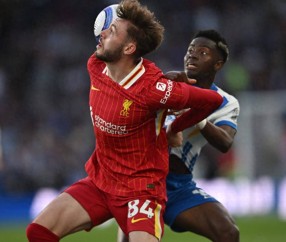 PG电子- 德罗巴进球 