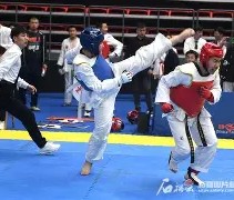 PG电子-跆拳道夜战：江畔灰熊队强势横扫庐州貔貅队，速度优势明显战术板得到兑现的简单介绍