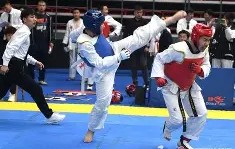 PG电子-跆拳道夜战：江畔灰熊队强势横扫庐州貔貅队，速度优势明显战术板得到兑现的简单介绍